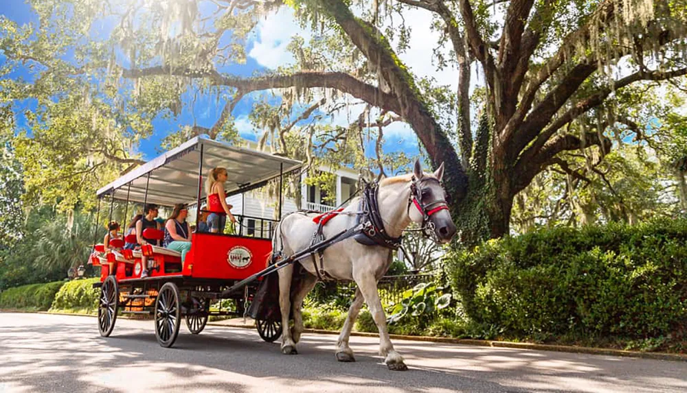 A horse-drawn carriage with passengers is traveling down a scenic road shaded by large trees draped with Spanish moss