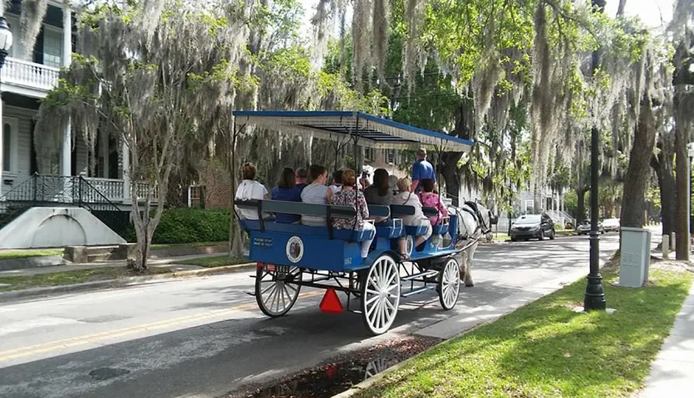 A horse-drawn carriage filled with passengers tours a tree-lined street with hanging Spanish moss