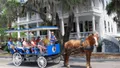 #1 Historical Horse Drawn Carriage Tour Photo