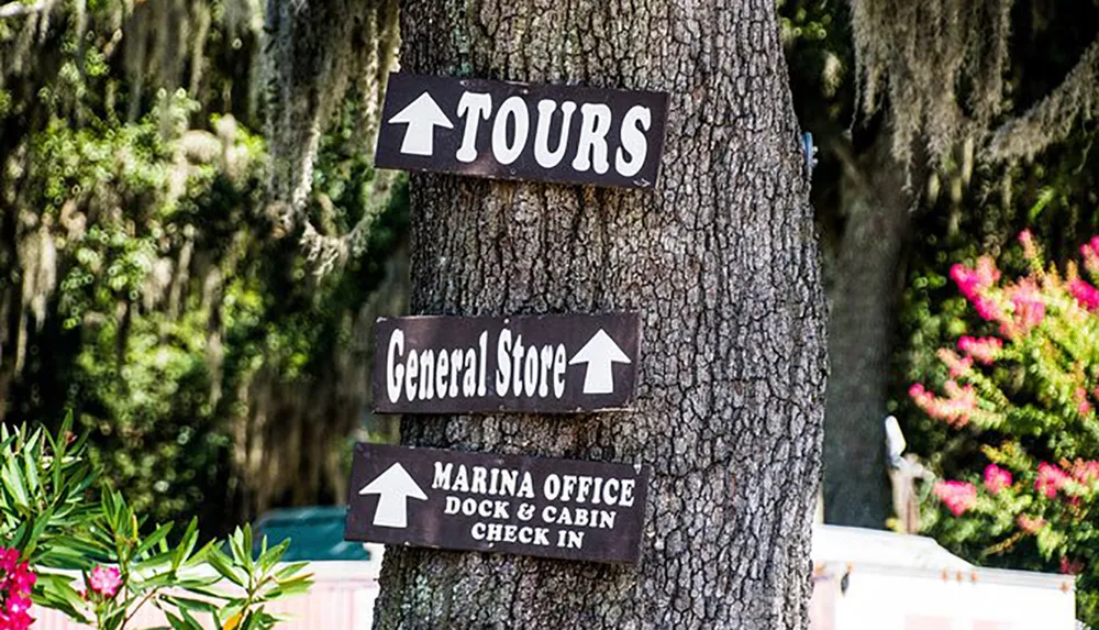 Three wooden directional signs attached to a tree trunk indicate the way to TOURS General Store and the MARINA OFFICE Dock  Cabin Check In