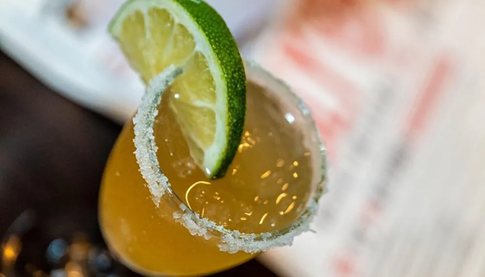 The image shows a close-up of a salt-rimmed glass with a lime wedge likely containing a margarita or similar cocktail