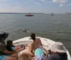 A group of people on a boat watch a dolphin swimming nearby in a calm body of water with other boats in the vicinity