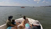 A group of people on a boat watch a dolphin swimming nearby in a calm body of water with other boats in the vicinity.