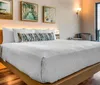 Room Photo for Cambria Hotel Fort Lauderdale Beach