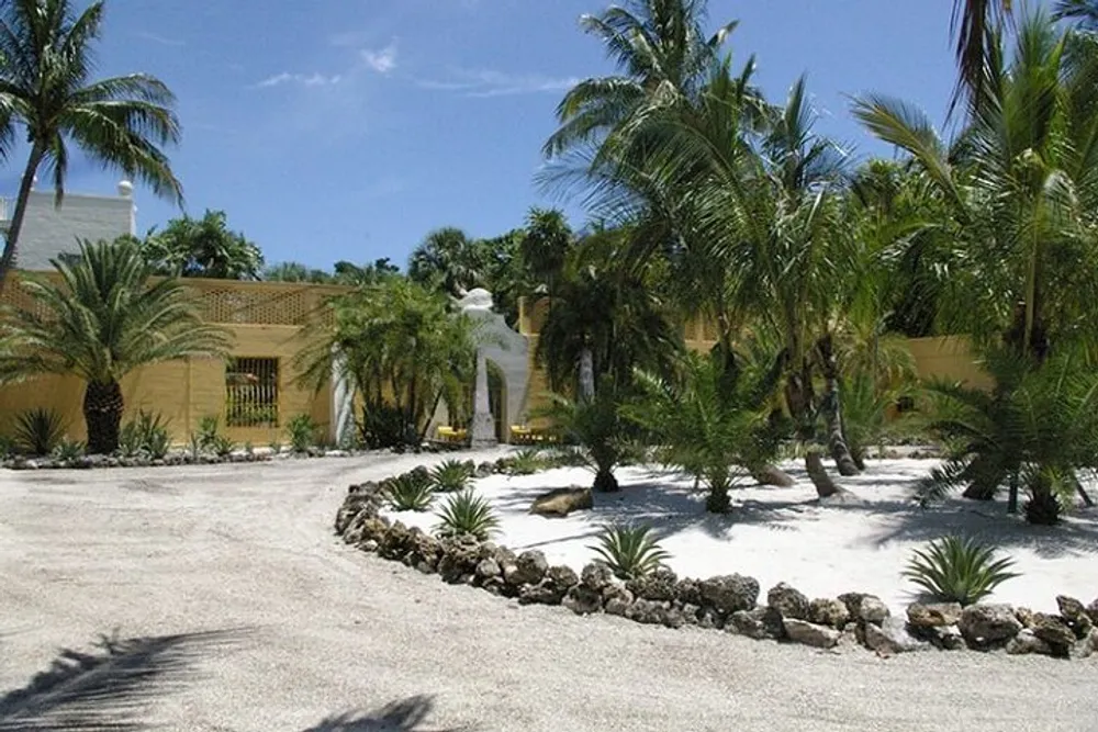A tropical driveway lined with palm trees leads to a yellow building with a white sculpture near the entrance