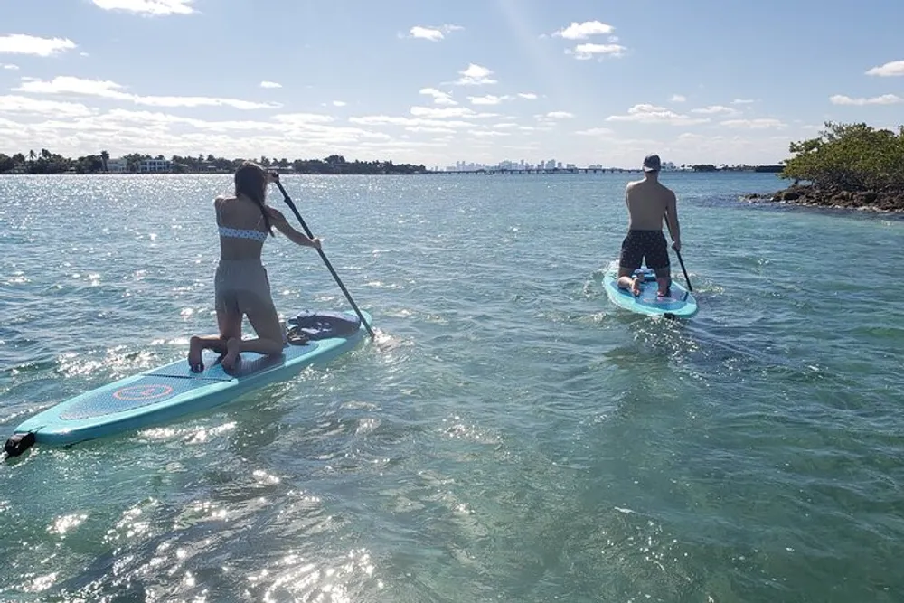 Two people are stand-up paddleboarding on a sunny day with clear water beneath them and a city skyline in the distant background