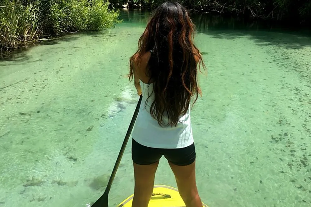 A person stands on a paddleboard navigating through clear tranquil waters surrounded by lush greenery