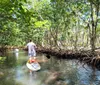 A person stands on a paddleboard navigating through clear tranquil waters surrounded by lush greenery