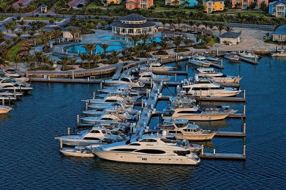 The image shows a marina packed with various sized yachts neatly docked in calm blue waters against a backdrop of tropical palm trees and luxury homes