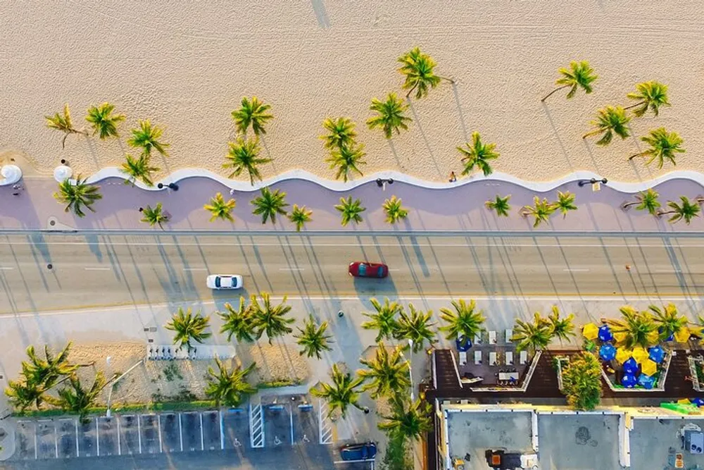 An aerial view showcases a vibrant beachside road lined with palm trees with a few cars on the street and a sandy beach on one side
