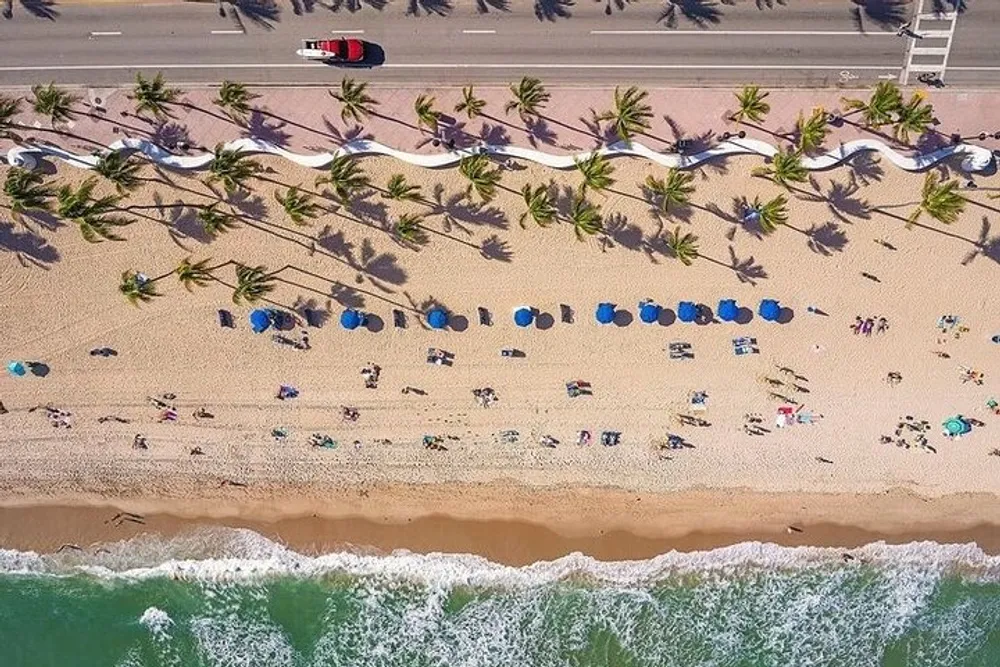 An aerial view of a sandy beach lined with palm trees and umbrellas adjacent to a coastal road with a vehicle overlooking the emerald ocean waves