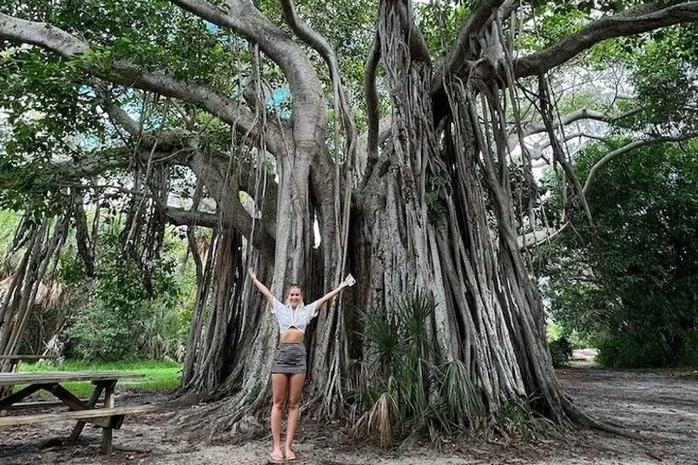 A person is standing with outstretched arms in front of a massive banyan tree with numerous aerial roots