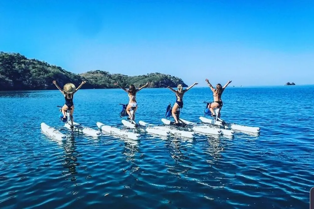A group of people are joyfully posing on stand-up paddleboards in a calm blue sea with a clear sky and a coastal landscape in the background