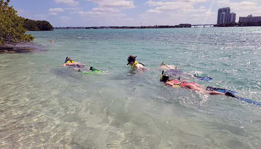 A group of snorkelers are exploring clear, shallow waters near some greenery and urban development visible in the distance.