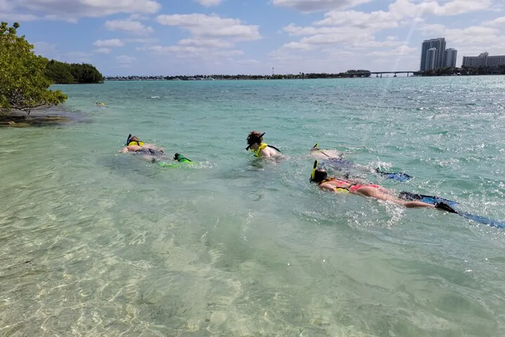 The image shows a group of people snorkeling in clear shallow waters near a tropical coastline with buildings in the background