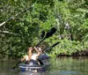 Two individuals are paddling in a kayak through a waterway surrounded by lush greenery