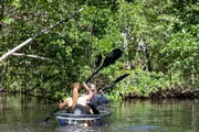Two individuals are paddling in a kayak through a waterway surrounded by lush greenery.