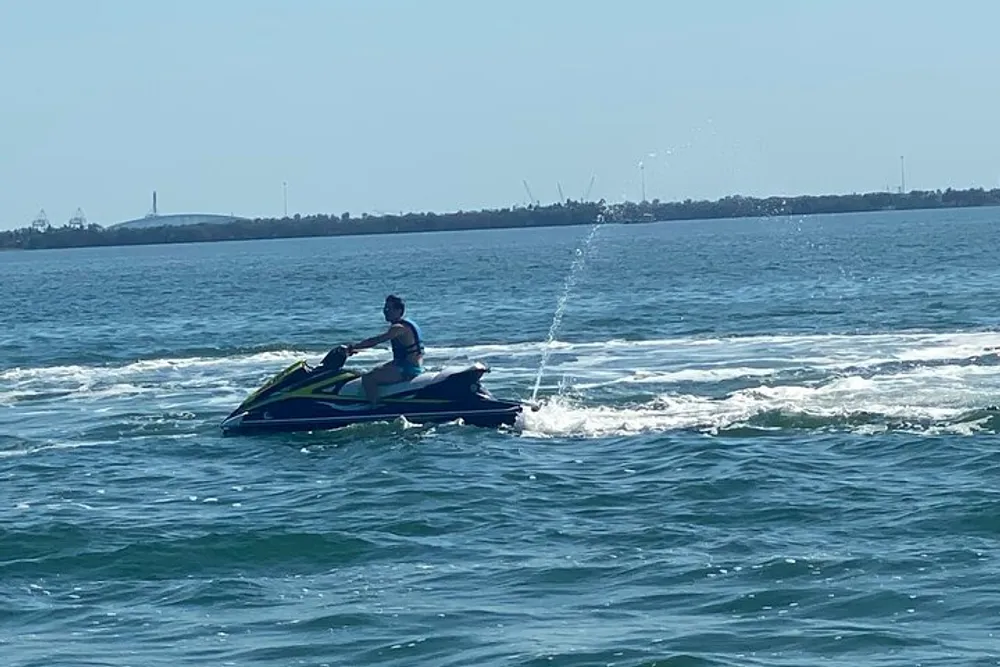 A person is riding a jet ski on the water on a sunny day