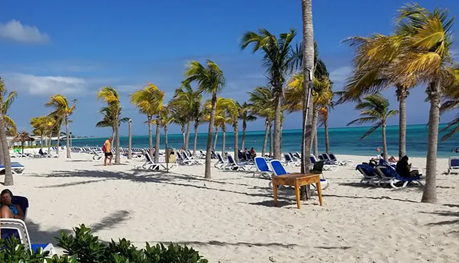 The image shows a sunny beach scene with palm trees, lounge chairs, and people relaxing by the ocean.