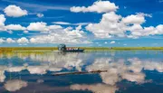 An airboat with passengers glides across a reflective, water-covered landscape with a large alligator visible in the foreground.