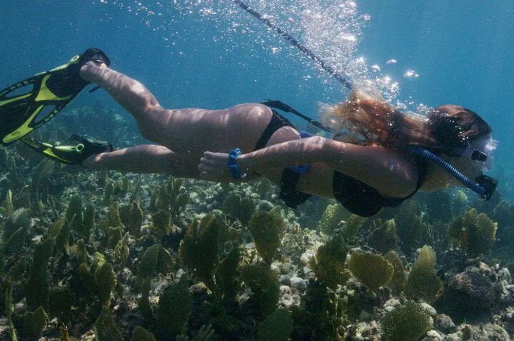 A person is scuba diving above a coral reef in clear blue water