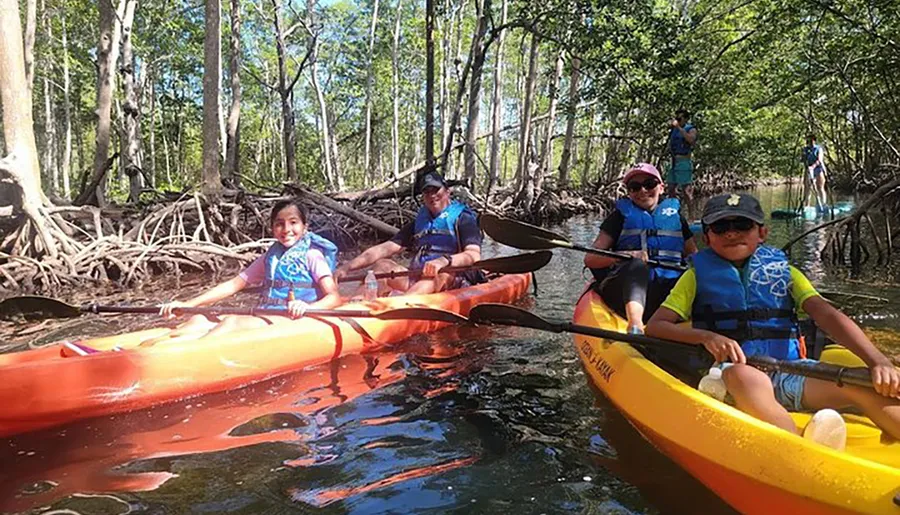 A group of people wearing life jackets is kayaking through mangrove forests.