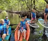 A group of people wearing life jackets are enjoying kayaking and paddleboarding in a scenic mangrove forest