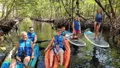 Stand Up Paddle Boarding and Kayaking at Mangrove Jungle Photo
