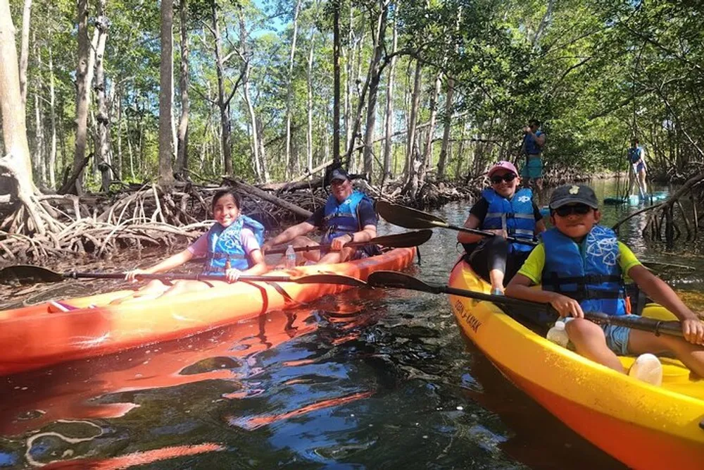 A group of people are kayaking through a mangrove forest on a sunny day