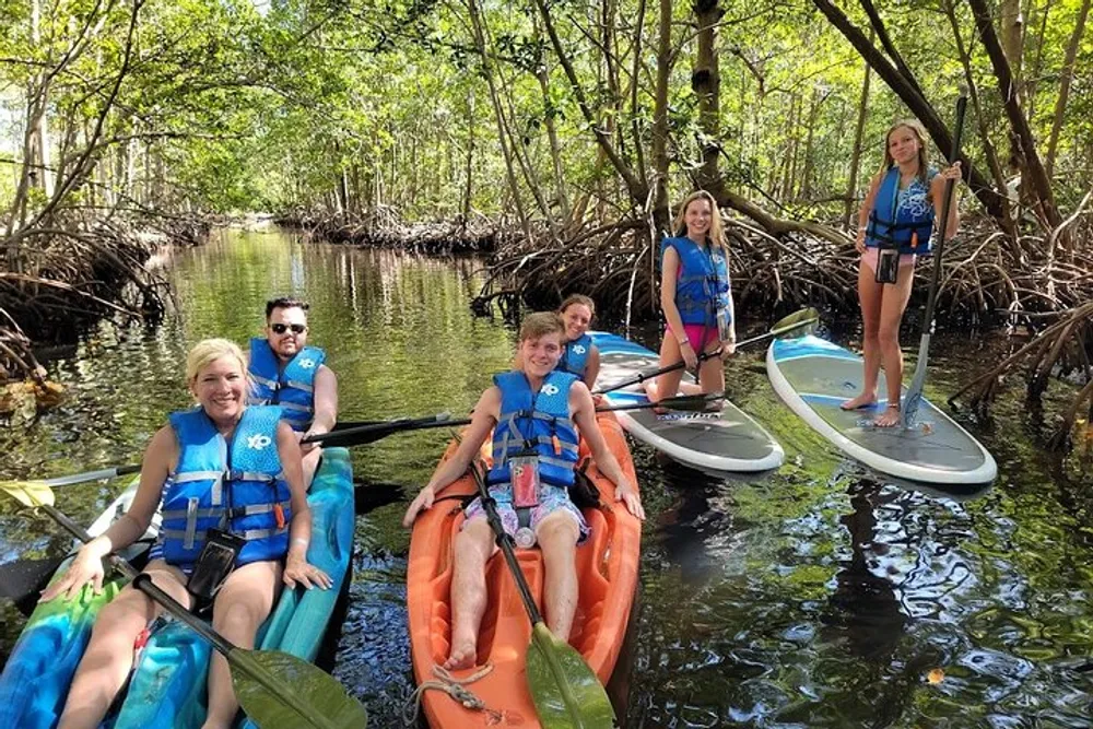 A group of people wearing life jackets enjoy kayaking and paddleboarding through a scenic mangrove tunnel