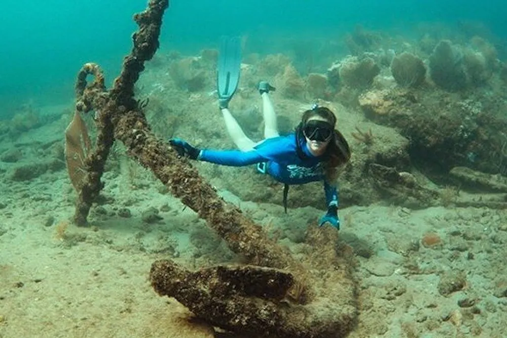 A diver in blue wetsuit is exploring an underwater scene with a large anchor amidst marine flora