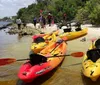 A group of people are enjoying a sunny day kayaking on a calm waterway lined with lush greenery and palm trees