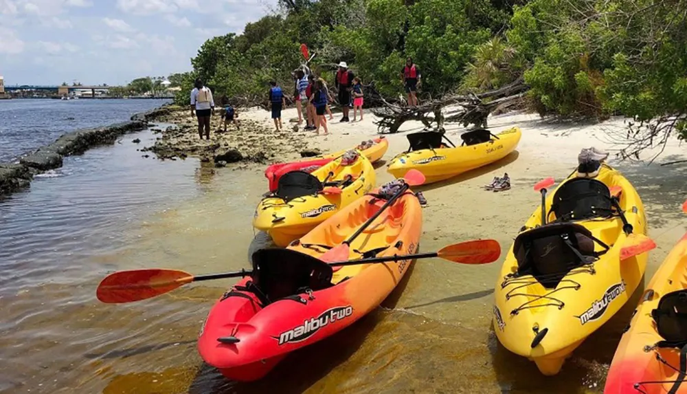 A group of people is gathered on a sandy shore next to a line of yellow and red kayaks possibly preparing for or returning from a paddling trip