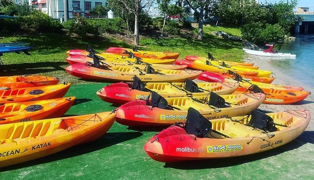 A collection of colorful kayaks is neatly lined up on a grassy shore beside a body of water