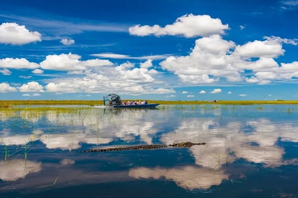 An airboat glides over a calm water surface reflecting clouds with a visible alligator in the foreground