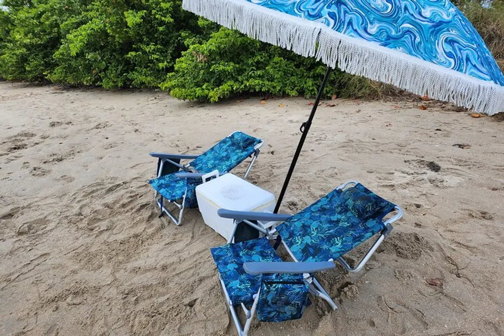 Two blue patterned beach chairs and a matching parasol are set up on sandy beach ground offering a relaxing spot by the greenery