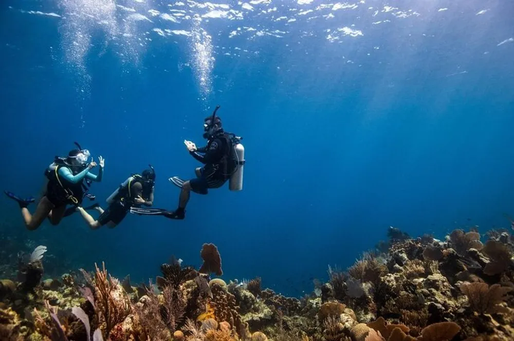 Three scuba divers are exploring a vibrant underwater coral reef surrounded by bubbles and bathed in sunlight filtering through the ocean surface