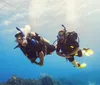 Three scuba divers are submerged in clear blue water equipped with diving suits and breathing apparatuses seemingly exploring the underwater environment