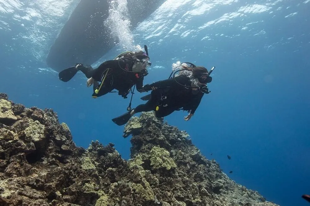 Two scuba divers are exploring a coral reef underwater with the suns rays filtering down from the surface