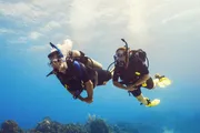 Two scuba divers are exploring underwater, equipped with diving gear and fins.