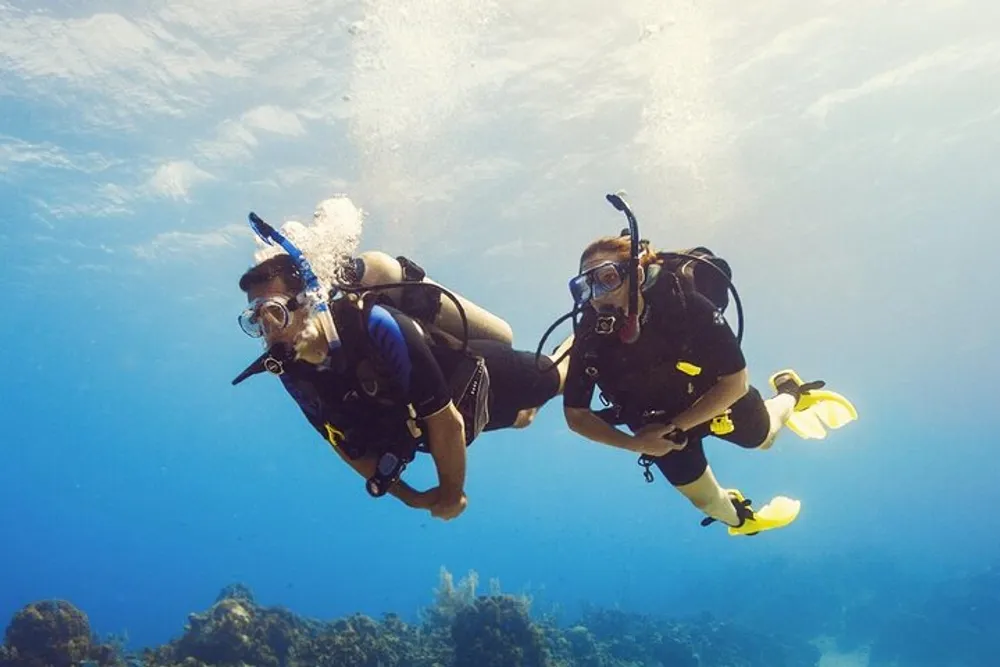 Two scuba divers are exploring underwater equipped with diving gear and fins