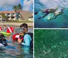 Two people are snorkeling in clear blue water observing underwater life