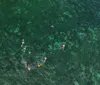Two people are snorkeling in clear blue water observing underwater life