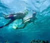 A man and a woman are snorkeling together in clear blue water above a coral reef