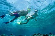 A man and a woman are snorkeling together in clear blue water above a coral reef.