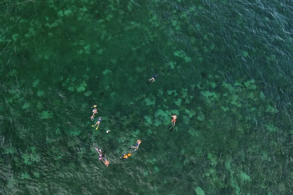 The image shows a group of swimmers in a body of water with clear greenish waters revealing underwater features viewed from an aerial perspective