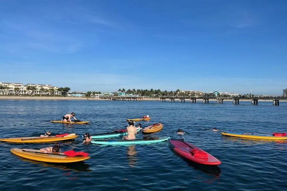 A group of people are relaxing and sunbathing on kayaks on a calm blue water surface with a scenic waterfront cityscape and a clear sky in the background