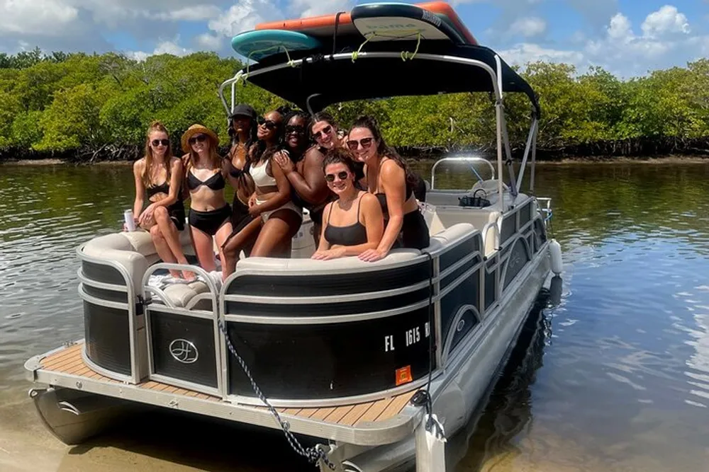 A group of people is posing for a photo on a pontoon boat under sunny skies