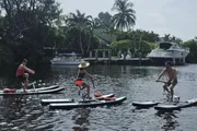Three people are paddling on water bikes along a calm waterway with tropical foliage and docked boats in the background.