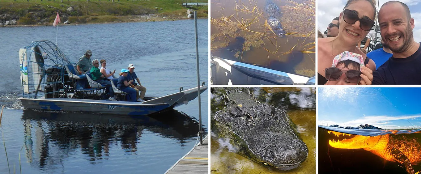 Florida Everglades Airboat Adventure and Wildlife Encounter Ticket